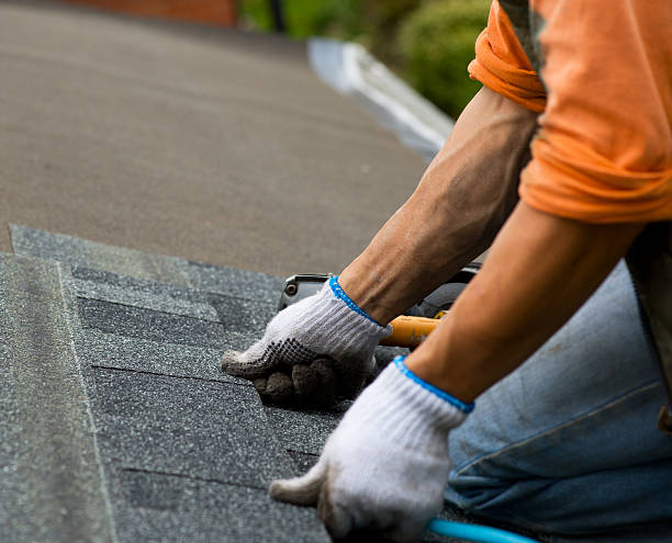 Best Gutter Installation and Roofing  in New Waverly, TX