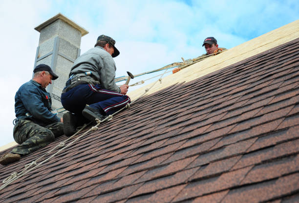 Best New Roof Installation  in New Waverly, TX